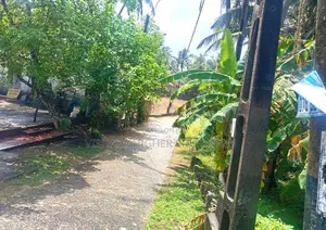 Prime Beachfront Land for Sale – Akurala, Hikkaduwa