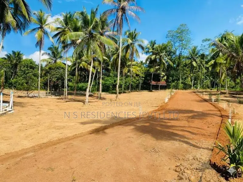 Land for Sale in Wathupitiwala,Walgammulla - M08