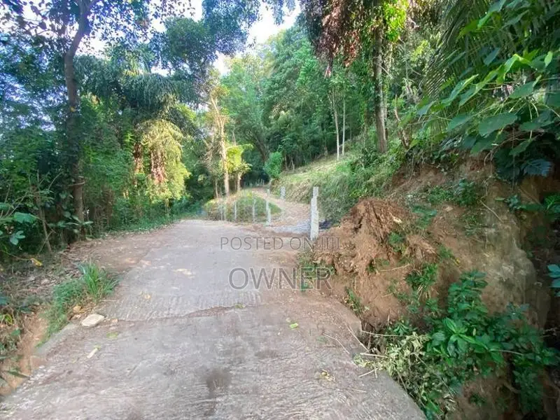 2 Blocks of 10 Perch Land Plots Are for Sale – Tennekumbura, Kandy