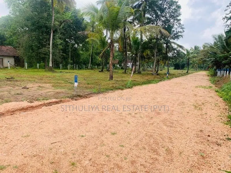 නිදහස් පරිසරයේ සොදුරු නවාතැනක් කුරුණෑගල, පොතුහැර