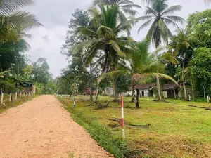 නිදහස් පරිසරයේ සොදුරු නවාතැනක් කුරුණෑගල, පොතුහැර