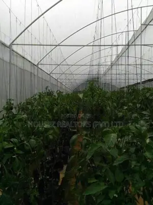 House with Estate Land for Sale Bandarawela