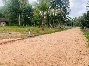 නිදහස් පරිසරයේ සොදුරු නවාතැනක් කුරුණෑගල, පොතුහැර