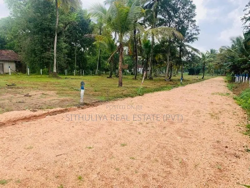 නිදහස් පරිසරයේ සොදුරු නවාතැනක් කුරුණෑගල, පොතුහැර
