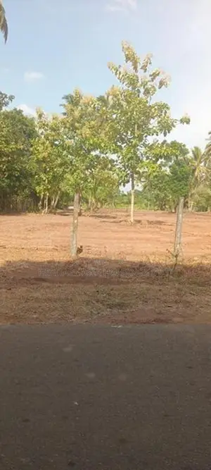 කුඹුරුකට මායිම්ව පිහිටි ඉඩමක් අනුරාධපුර