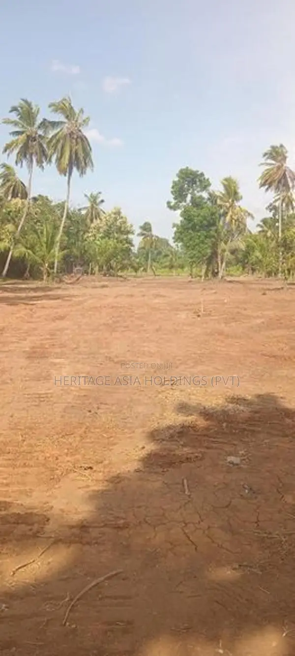 කුඹුරුකට මායිම්ව පිහිටි ඉඩමක් අනුරාධපුර