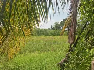 සින්නක්කර බිම් කොටසක් අනුරාධපුර
