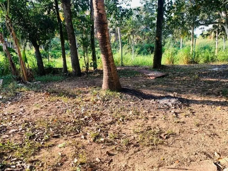 පර්චස් 12 බිම් කොටසක් උදම්මිට දඹදුරයෙන්