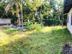 පර්චස් 12 බිම් කොටසක් උදම්මිට දඹදුරයෙන්