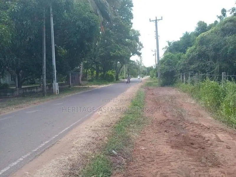Land for Sale Anuradhapura