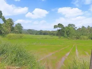 Giriulla Valuable Land Plots