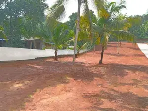 Giriulla Valuable Land Plots
