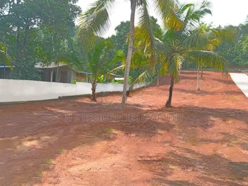 Giriulla Valuable Land Plots