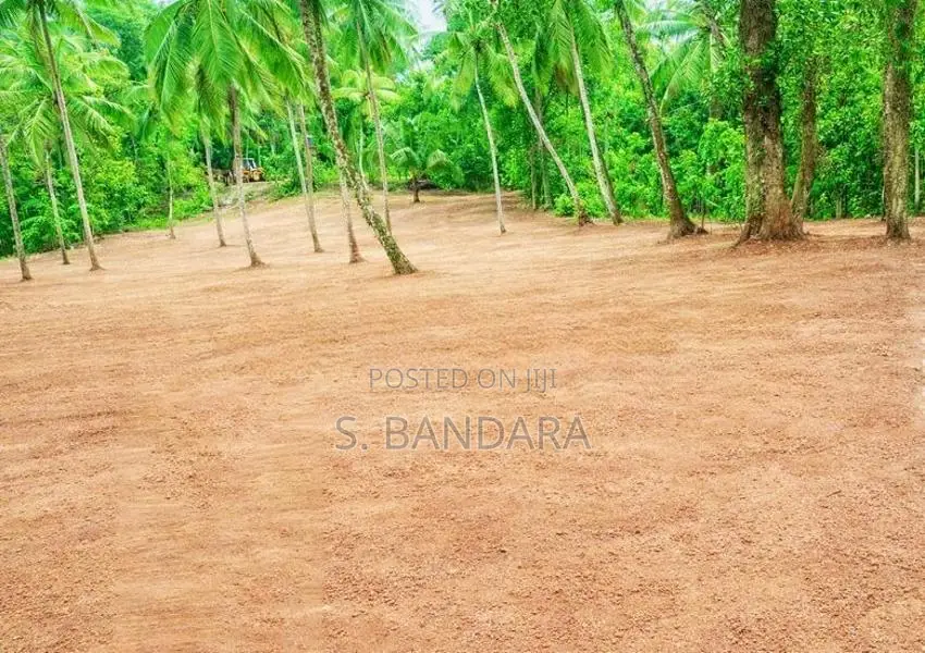 Nittambuwa Land for Sale