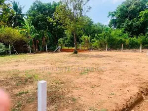 අනුරාධපුර පූජා නගරයට සමීපයෙන් අගනා බිම් කොටස් විකිණිමට