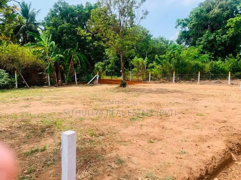 අනුරාධපුර පූජා නගරයට සමීපයෙන් අගනා බිම් කොටස් විකිණිමට