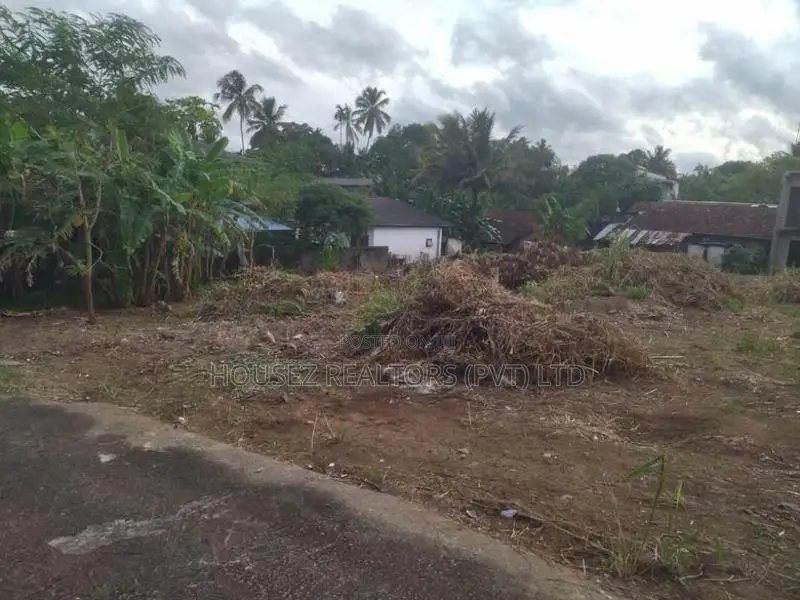 Prime Residential Land for Sale in Horahena – Pasman Handiya