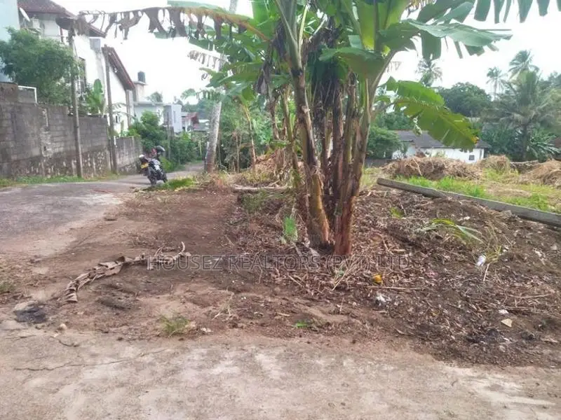 Prime Residential Land for Sale in Horahena – Pasman Handiya