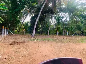 අනුරාධපුර නගරයට ලගම බිම් කොටස්