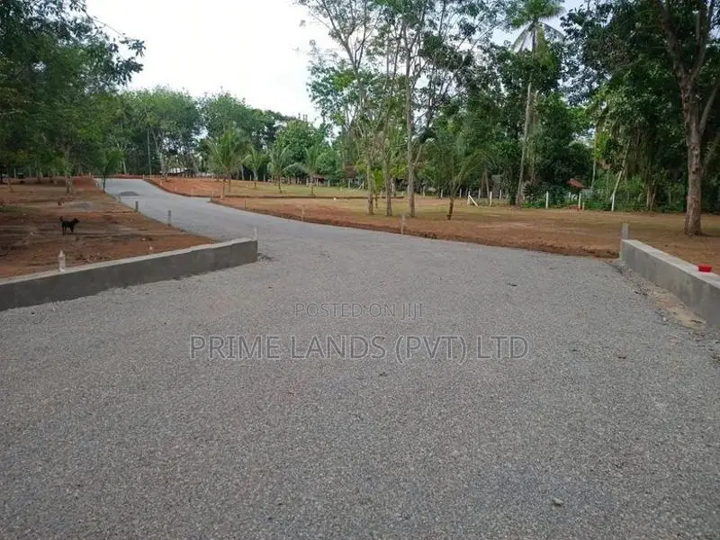 දිවුලපිටිය වල්පිට බිම්කොටස්