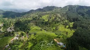 Nature surrounding houses for sale in Rozella