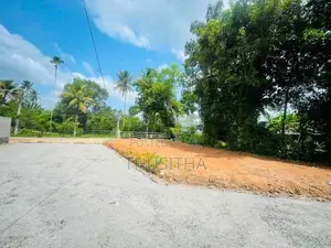 Yakkala නගරයෙන් හොද ඉඩමක් | නුවර පාරට ඇවිදින දුරින්