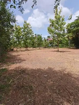 Land for Sale in Perimiyankulama