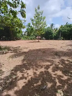 අනුරාධපුර අවටින් සින්නක්කර බිම් කොටස්