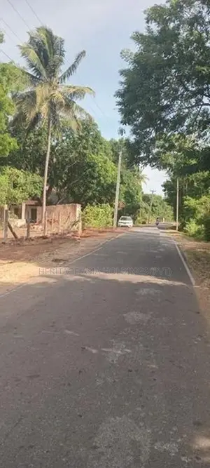 Land for Sale in Anuradapura