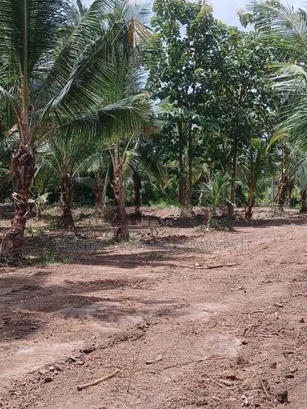 Land for Sale in Perimiyankulama