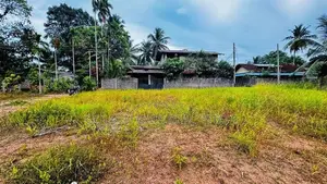 Kalagedihena Land for Sale Nearby Kandy Road