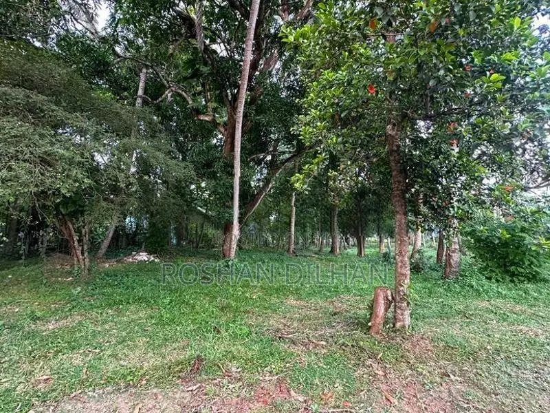Land with House for Sale in Melsiripura