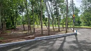 දිවුලපිටිය වල්පිට බිම්කොටස්