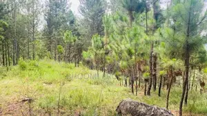 Land for sale in Ella