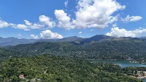 Land for sale in Digana