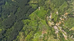 Nature surrounding houses for sale in Rozella