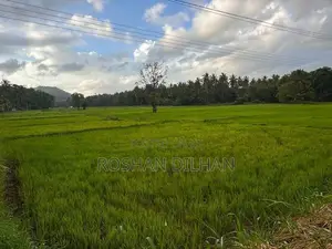 Land with House for Sale in Melsiripura