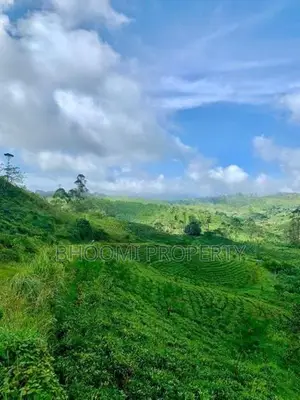 Land for sale in Hatton