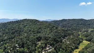 Land for sale in Digana
