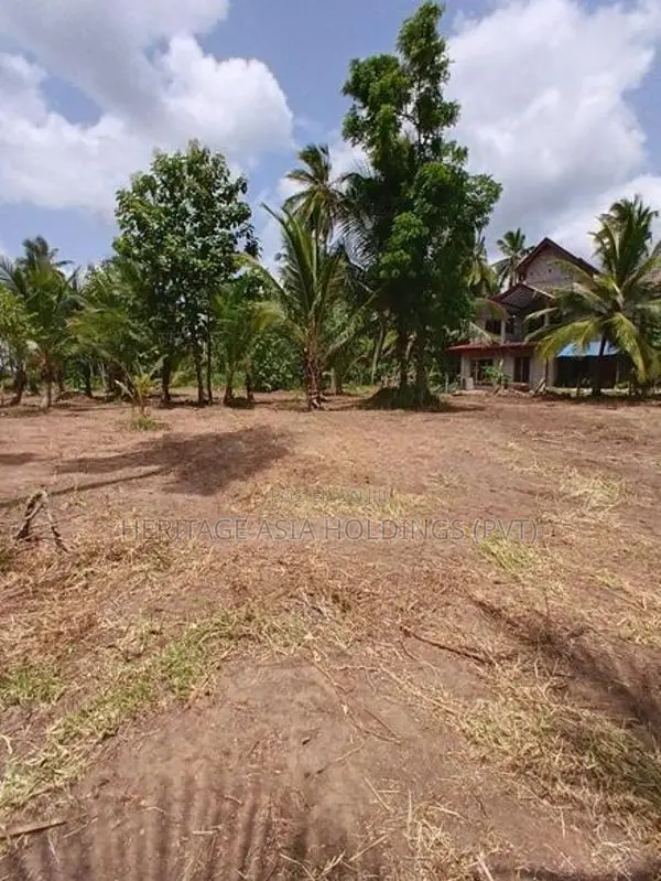 Land for Sale in Perimiyankulama