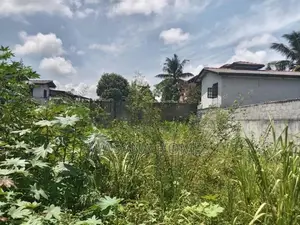 Top Land for Sale Colombo 5