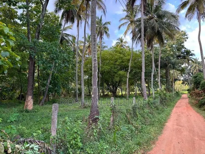 Land with House for Sale in Melsiripura