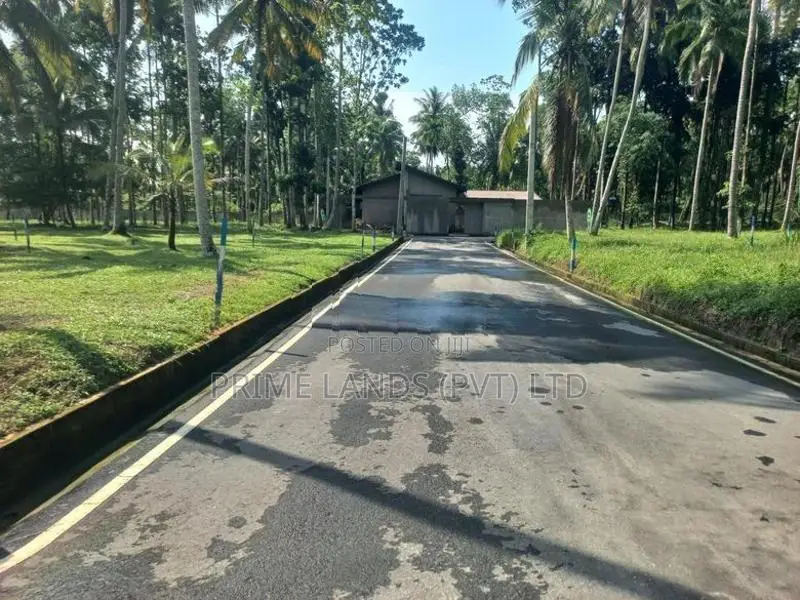යක්කල නගරයෙන් බිම්කොටස්