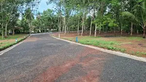 දිවුලපිටිය වල්පිට බිම්කොටස්
