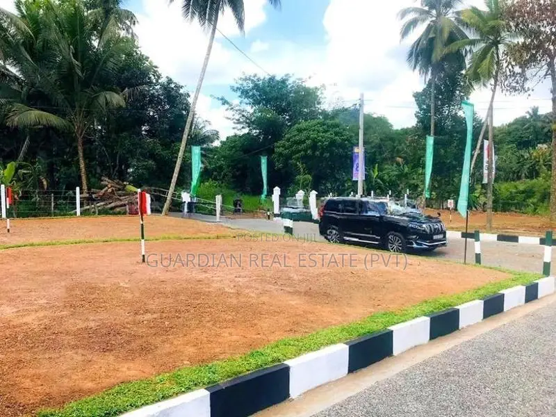 Best Luxury Land for Sale in Watareka