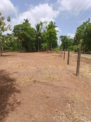 Land for Sale in Perimiyankulama