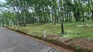 දිවුලපිටිය වල්පිට බිම්කොටස්
