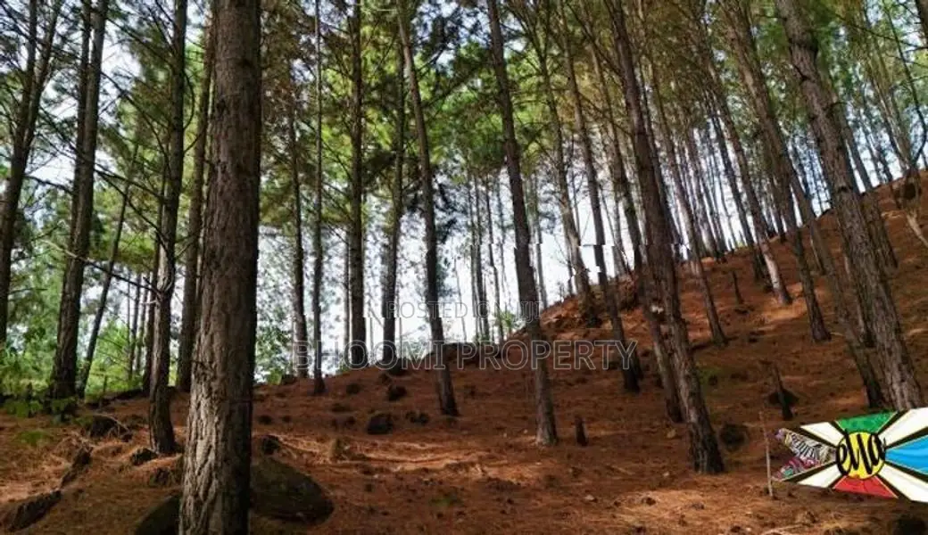 Land for sale in Ella