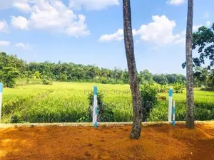 Developed Residential Land for Sale in Attanagalla P2
