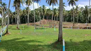 Valuable Land Plots Polgahawela